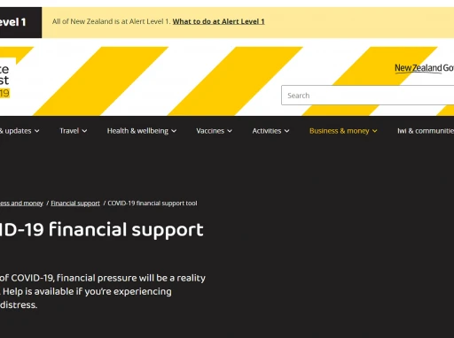 project page top image 0025 Financial Help Tool